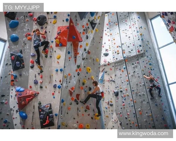 南京攀岩队状态分析与未来发展展望的综合探讨