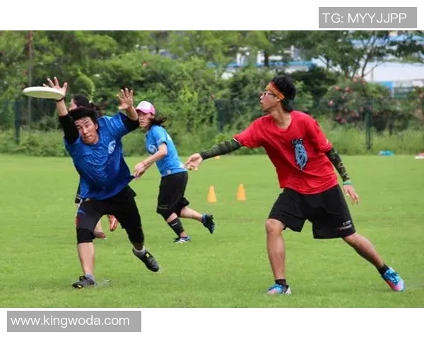 深圳飞盘队荣登全国比赛经验排行榜第七名展现实力与潜力