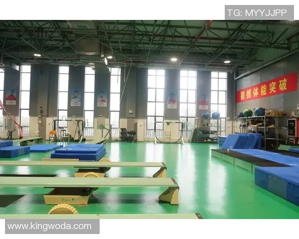 重庆篮球队反击革新之路探索与展望全面解析